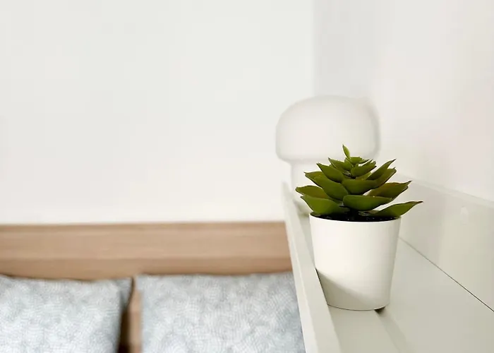 Aloha - Free Parking